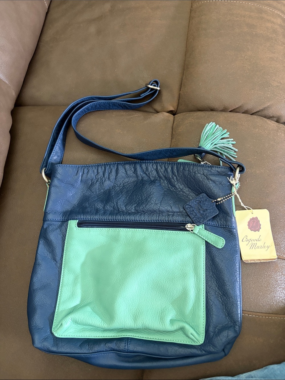 Cuyana Marley Two-Tone Navy and Mint Crossbody Bag
